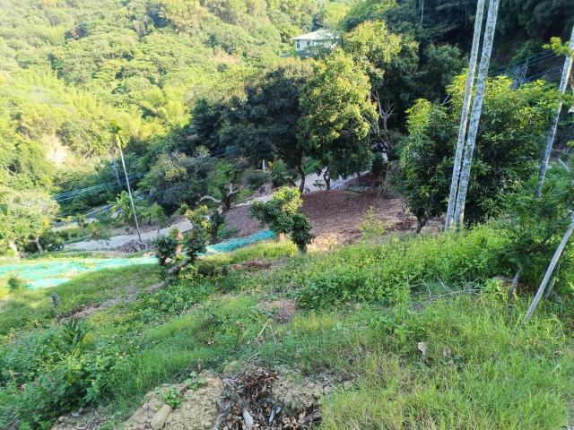 台中買屋賣房霧峰區桐林山莊一期中坑休閒景觀農地(3) 照片 15