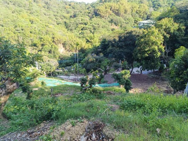 台中買屋賣房霧峰區桐林山莊一期中坑休閒景觀農地(3) 照片 16