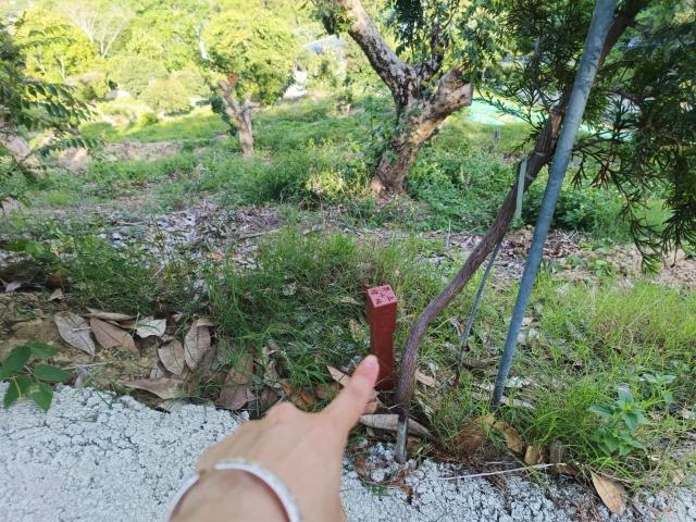 台中買屋賣房霧峰區桐林山莊一期中坑休閒景觀農地(3) 照片 18