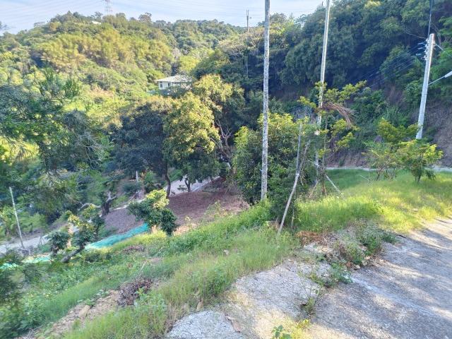 台中買屋賣房霧峰區桐林山莊一期中坑休閒景觀農地(3) 照片 19