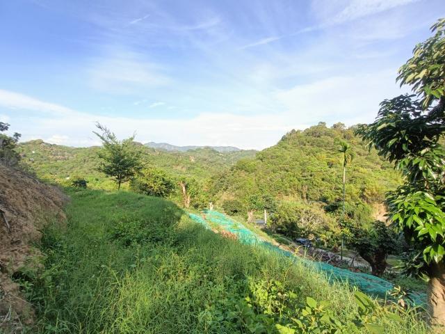台中買屋賣房霧峰區桐林山莊一期中坑休閒景觀農地(3) 照片 20