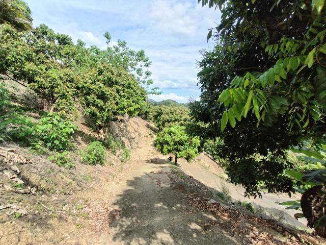 台中買屋賣房 土地王劉志忠台中市霧峰區桐林山莊二期北坑渡假農地(10號) 照片 2