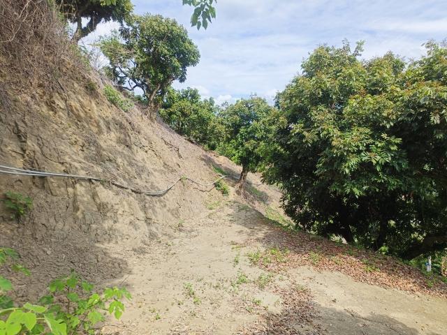 台中買屋賣房 土地王劉志忠台中市霧峰區桐林山莊二期北坑渡假農地(10號) 照片 3