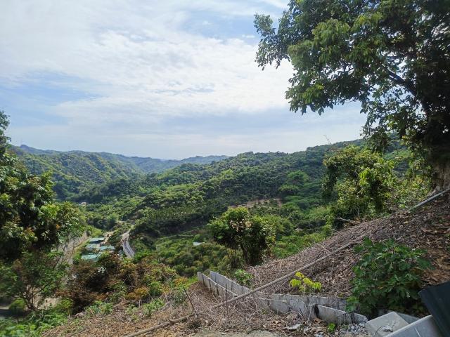台中買屋賣房 土地王劉志忠台中市霧峰區桐林山莊二期北坑渡假農地(10號) 照片 5