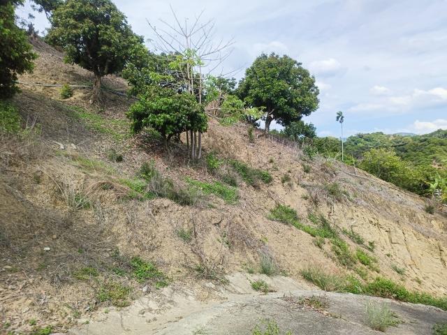 台中買屋賣房 土地王劉志忠台中市霧峰區桐林山莊二期北坑渡假農地(10號) 照片 7
