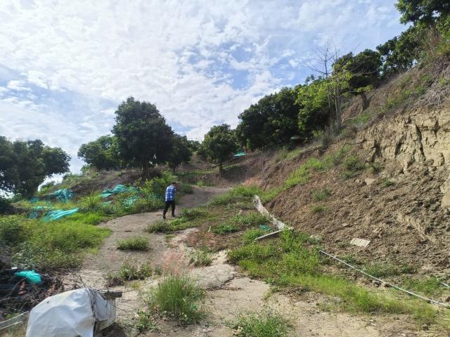 台中買屋賣房 土地王劉志忠台中市霧峰區桐林山莊二期北坑渡假農地(10號) 照片 9