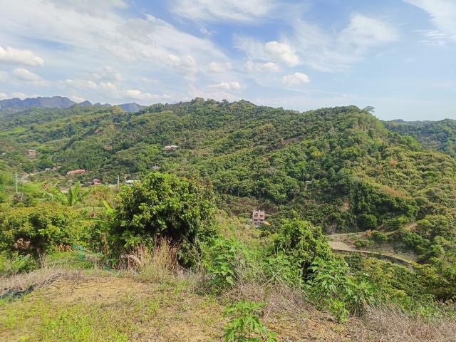 台中買屋賣房 土地王劉志忠台中市霧峰區桐林山莊二期北坑渡假農地(10號) 照片 12