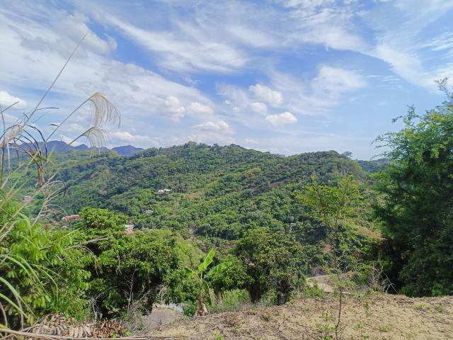 台中買屋賣房 土地王劉志忠台中市霧峰區桐林山莊二期北坑渡假農地(10號) 照片 14