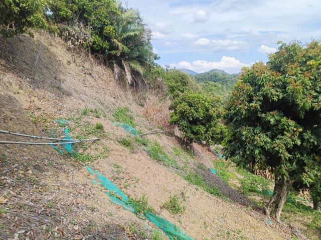 台中買屋賣房 土地王劉志忠台中市霧峰區桐林山莊二期北坑渡假農地(10號) 照片 19
