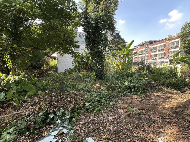 竹崎灣橋美建地 照片 1