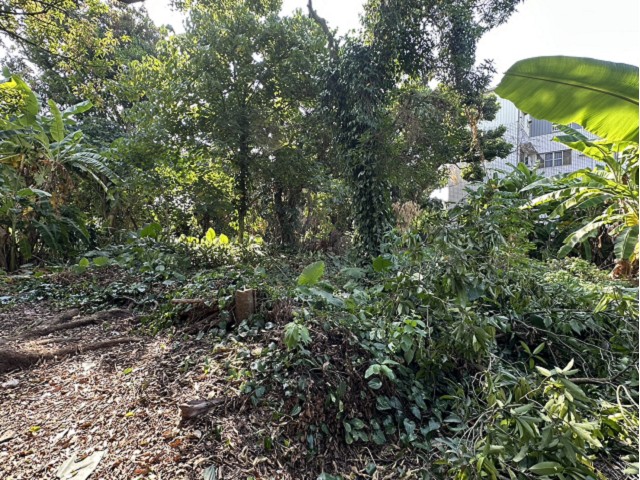 竹崎灣橋美建地 照片 3