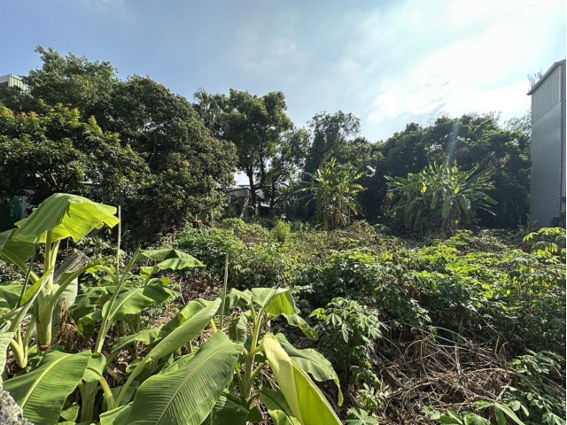 竹崎灣橋美建地 照片 5