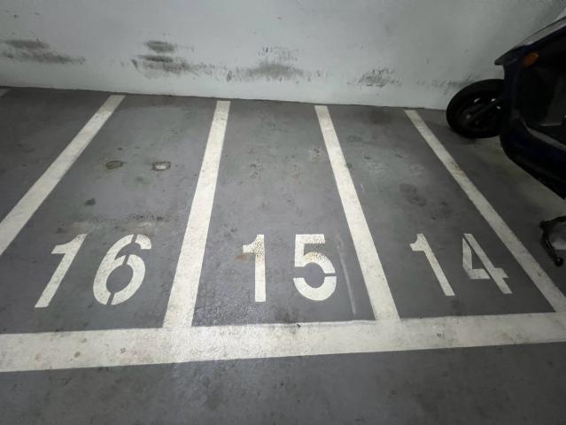 極美中科2房平車+2機車位 照片 9