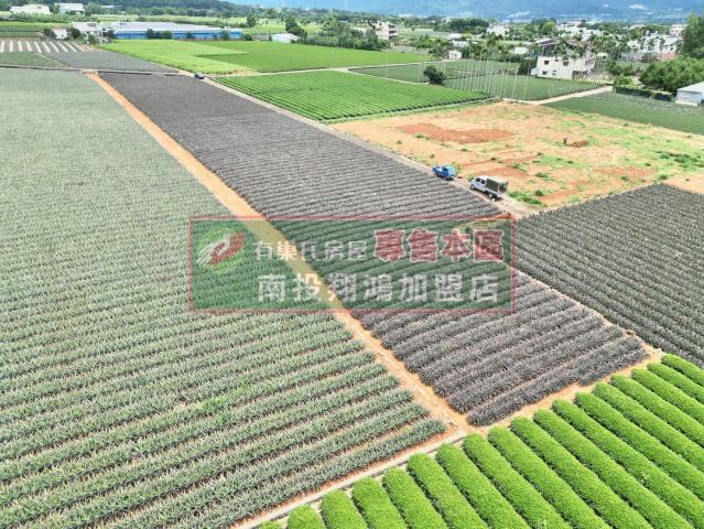 南投買房 南投名間大庄4.47分平坦方正農地 照片 10