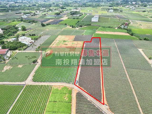 南投買房 南投名間大庄4.47分平坦方正農地 照片 2