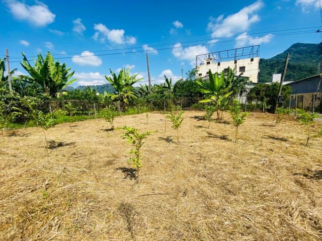 ❤️近國姓交流道｜謐靜休閒｜農舍 南投土地透天 照片 4