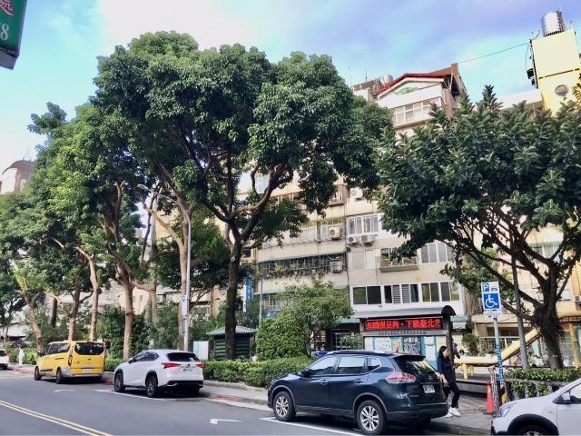 面公園景觀美廈 陳麗真0937-871-488 照片 13
