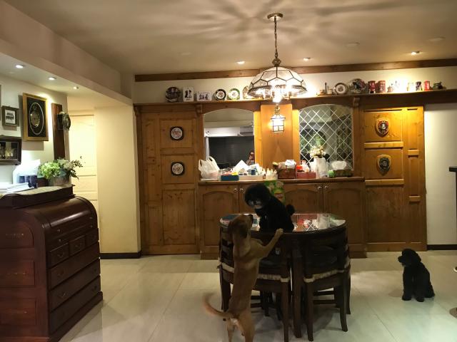 面公園景觀美廈 陳麗真0937-871-488 照片 5