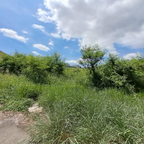 大肚沙田千坪都計內乙工建地 照片 9