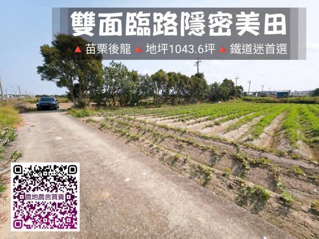 苗栗後龍|雙面臨路隱密美田 照片 1