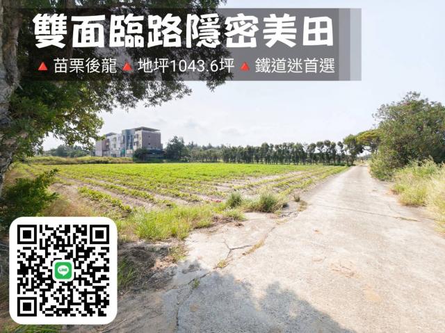 苗栗後龍|雙面臨路隱密美田 照片 2