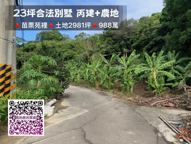998萬合法別墅+農地|土地近3千坪 照片 5