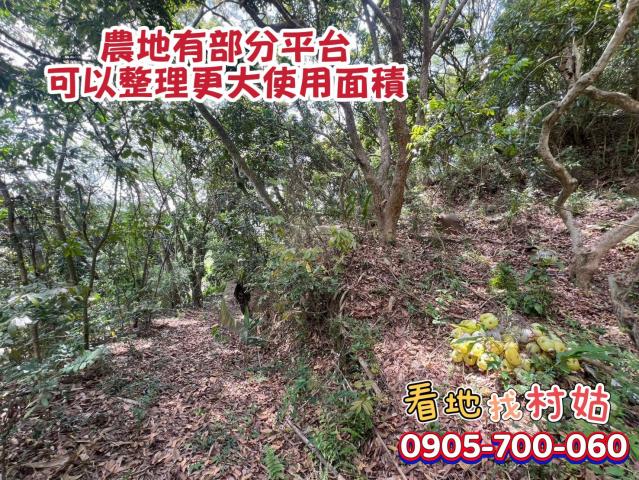 998萬合法別墅+農地|土地近3千坪 照片 6