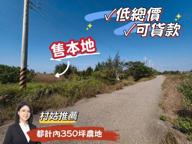 都市計畫內350坪農地售498萬 照片 1