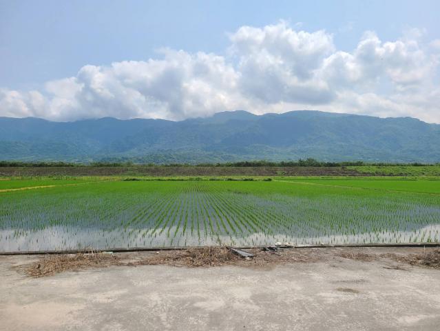 B418玉里好風光樂活好農地享受大自然 照片 1
