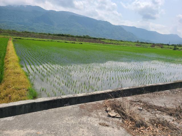 B418玉里好風光樂活好農地享受大自然 照片 2