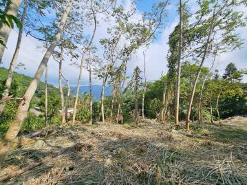 竹北買屋賣屋推薦  橫山薯園臨大馬路 高海拔舒心視野美地
