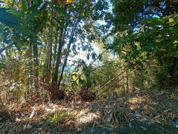 (專約)南投集集3230坪農牧用地-投資造林適合  台南新營土地