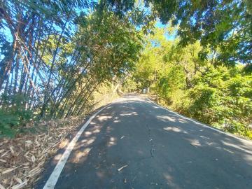 (專約)南投集集632坪農牧用地-投資/造林適合