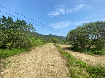 內門117縣道旁寶林社區已整地大坪數休閒農地 農十六美術館房仲