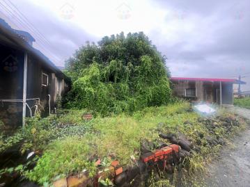 台南買賣土地 大內8米路珍稀乙建