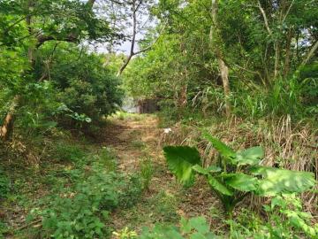 新竹徵收地 春明地產 新竹市青草湖風景地(2)