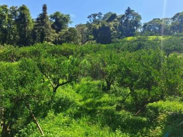 新竹徵收地 春明地產 新竹縣橫山鄉薯園柑橘園農地