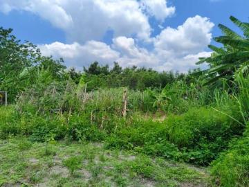 新竹徵收地 春明地產 新竹縣竹東鎮上員公告現值半價超便宜農地