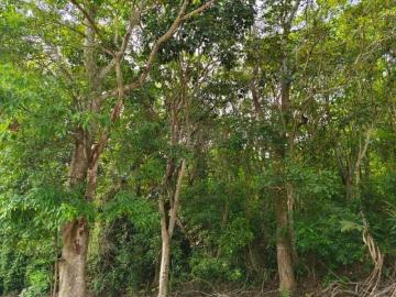新竹徵收地 春明地產 新竹縣峨眉鄉近台三線山坡地