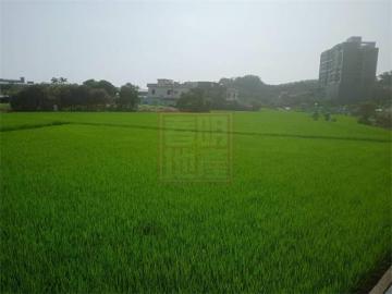 新竹徵收地 春明地產 新竹縣竹北市㊣中華路貨櫃貨運場用地 
