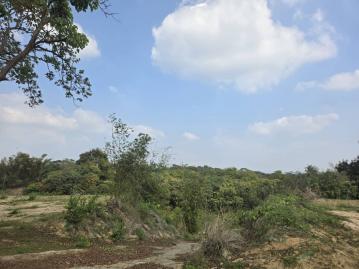 南科好地找寶玉   大內全新資材室美農地