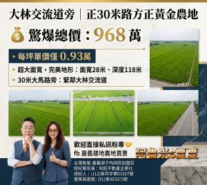 大林正30米排子路上農地 嘉義阿魯米建地農地買賣	