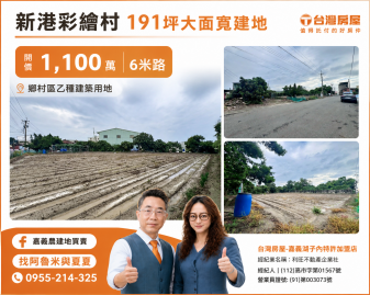 嘉義農建地買賣【新港熱銷物件】彩繪村大面寬稀有建地
