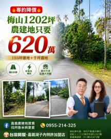 嘉義農建地買賣 梅山水安靖村農建地
