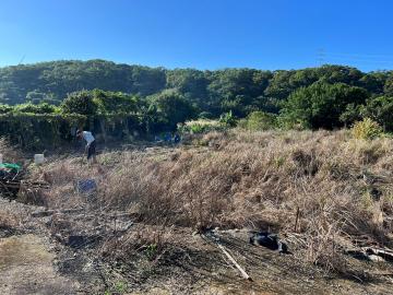 三芝石門土地 ?Q034林子田園?