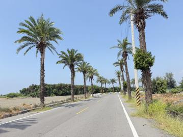嘉義買土地專家 四湖林厝寮雙面路農地