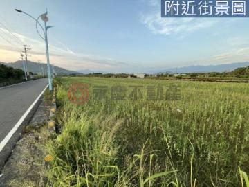 安南幸福成家 玉井雙面臨路千坪一般農牧用地