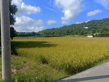 龍潭高爾夫球場旁756坪方正農地 桃園中壢找房