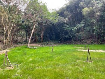 苗栗銅鑼芬多精農地 桃園中壢找房