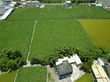 后里中科建案 大甲稀有配蓋田